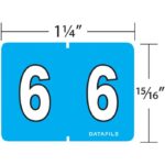 Image of Datafile, Numeric Labels, Full Size, Roll Labels (Model #L8700)